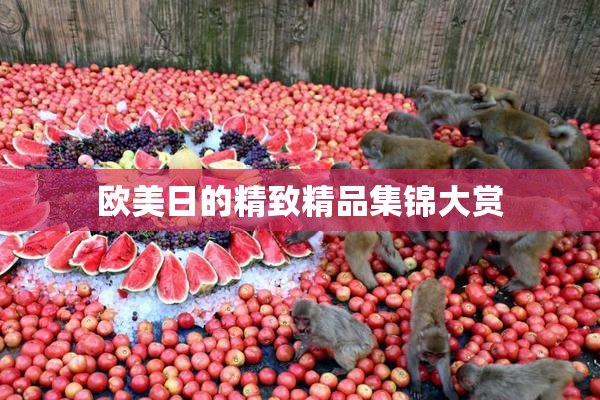 欧美日的精致精品集锦大赏