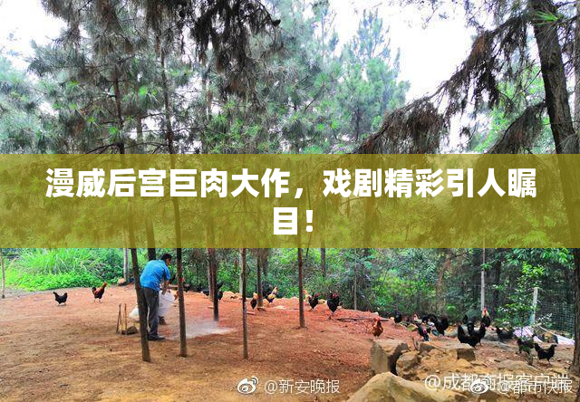 漫威后宫巨肉大作，戏剧精彩引人瞩目！