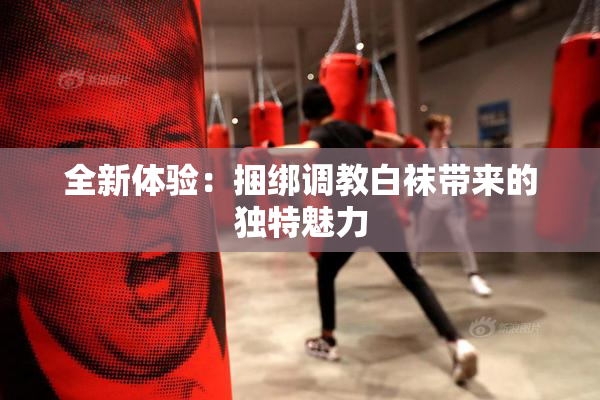 全新体验：捆绑调教白袜带来的独特魅力