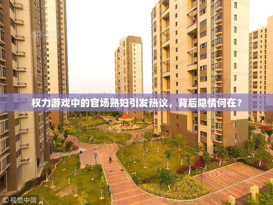 权力游戏中的官场熟妇引发热议，背后隐情何在？