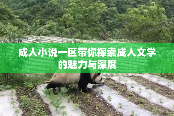 成人小说一区带你探索成人文学的魅力与深度