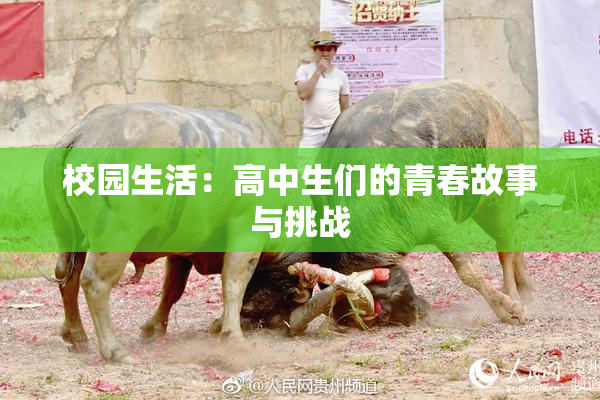 校园生活：高中生们的青春故事与挑战