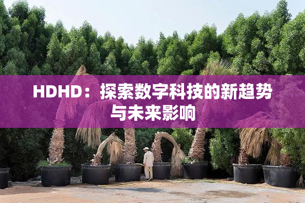 HDHD：探索数字科技的新趋势与未来影响