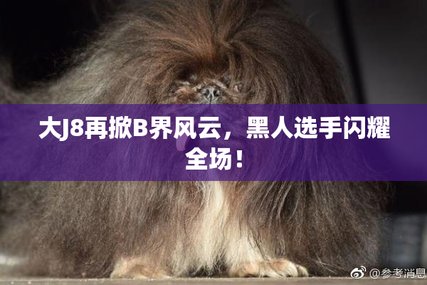 大J8再掀B界风云，黑人选手闪耀全场！