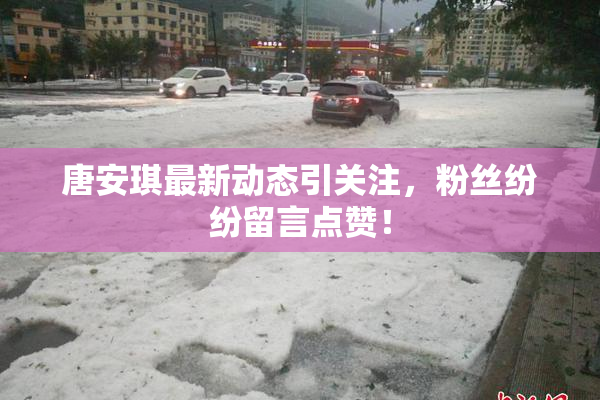 唐安琪最新动态引关注，粉丝纷纷留言点赞！