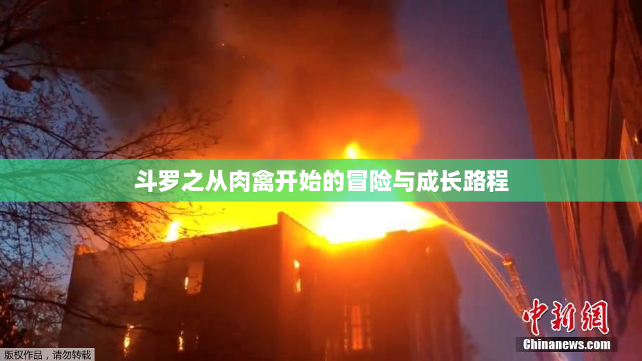 斗罗之从肉禽开始的冒险与成长路程