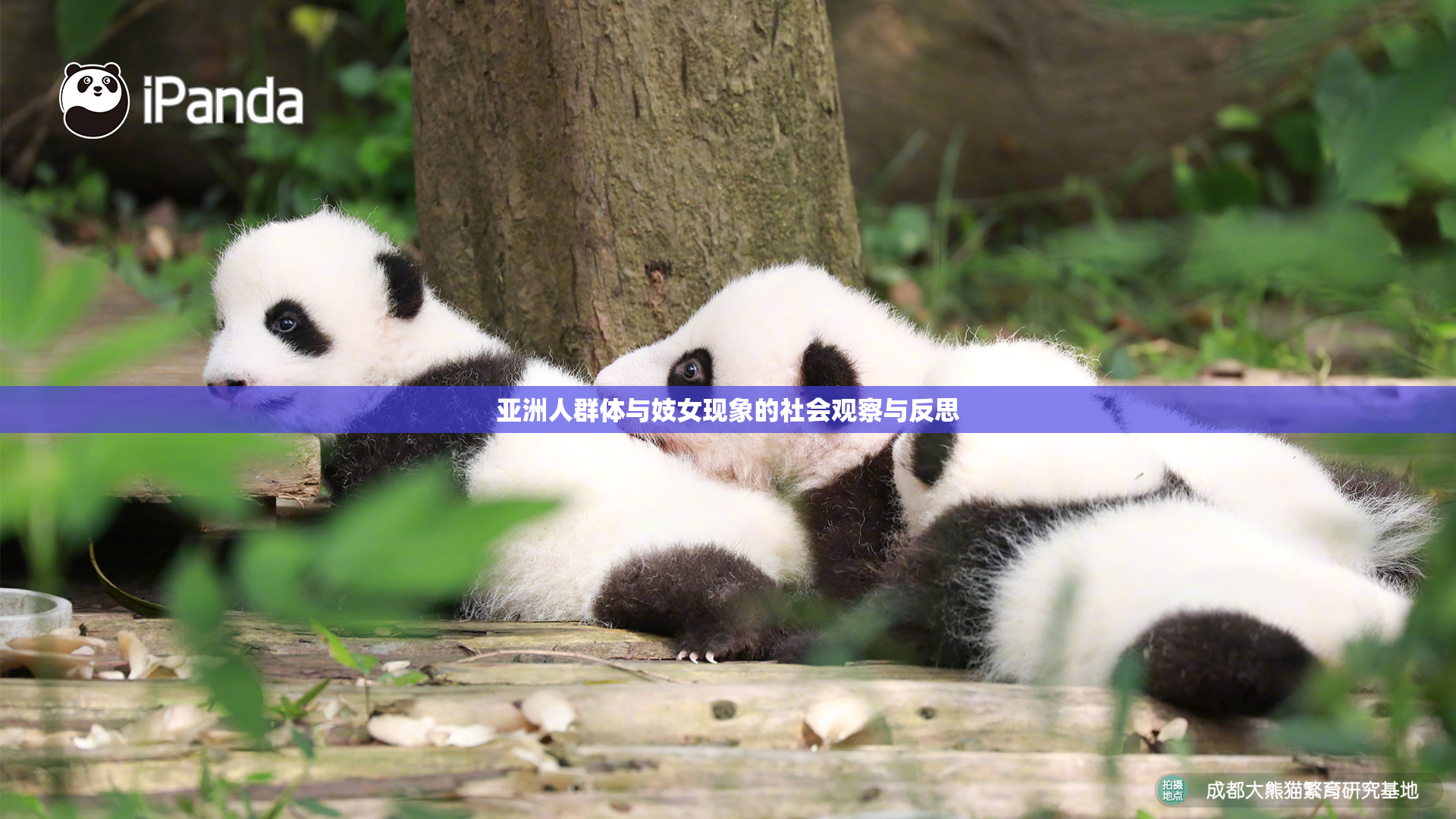 亚洲人群体与妓女现象的社会观察与反思