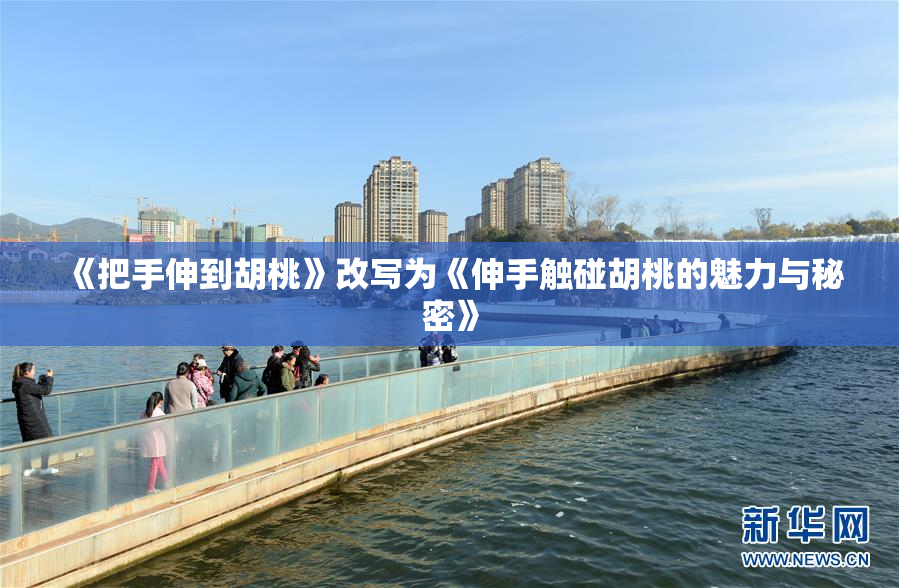 《把手伸到胡桃》改写为《伸手触碰胡桃的魅力与秘密》
