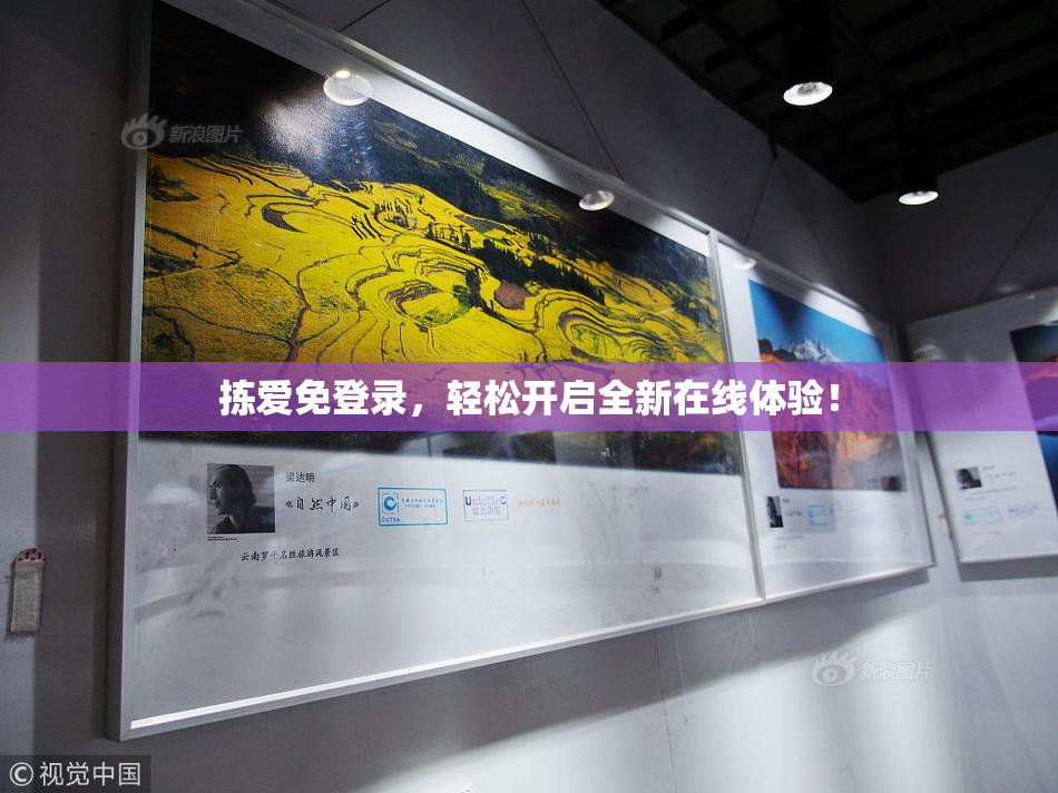 拣爱免登录，轻松开启全新在线体验！