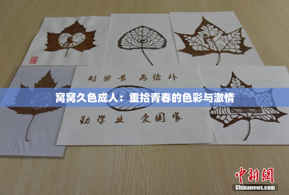 窝窝久色成人：重拾青春的色彩与激情
