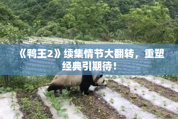 《鸭王2》续集情节大翻转，重塑经典引期待！