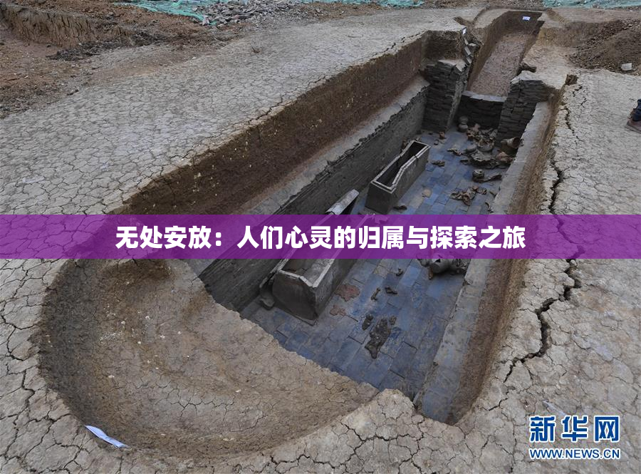无处安放：人们心灵的归属与探索之旅