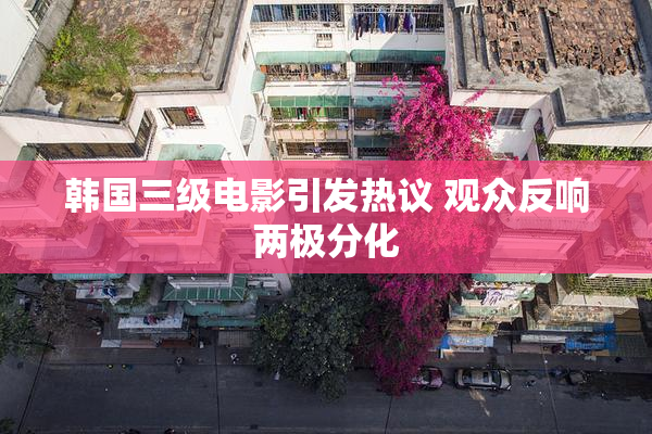 韩国三级电影引发热议 观众反响两极分化