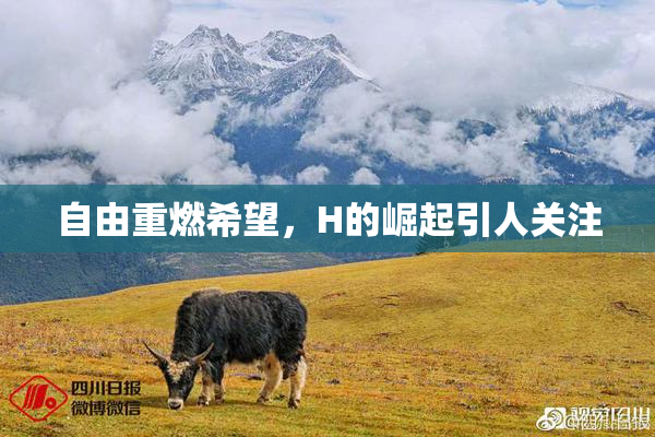 自由重燃希望，H的崛起引人关注