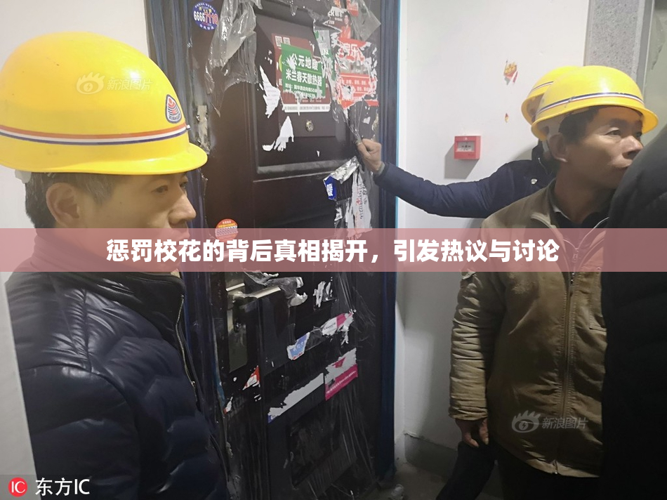 惩罚校花的背后真相揭开，引发热议与讨论