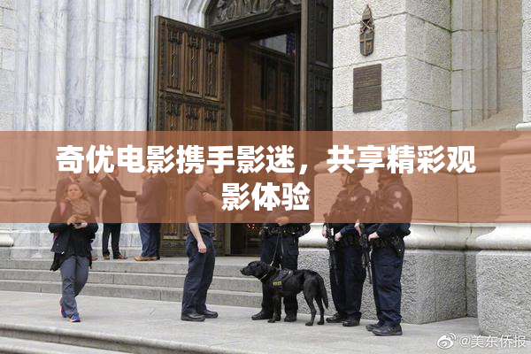 奇优电影携手影迷，共享精彩观影体验