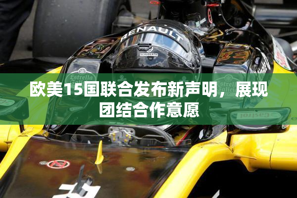 欧美15国联合发布新声明，展现团结合作意愿