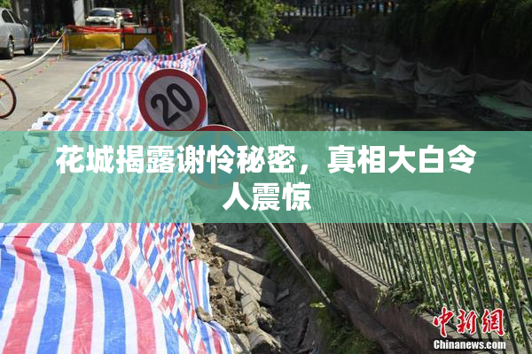 花城揭露谢怜秘密，真相大白令人震惊