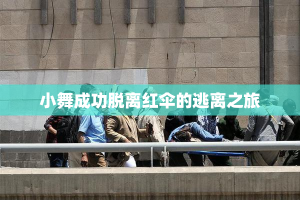 小舞成功脱离红伞的逃离之旅
