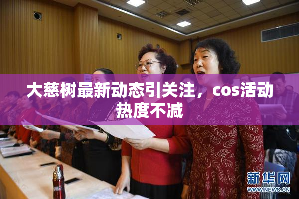 大慈树最新动态引关注，cos活动热度不减