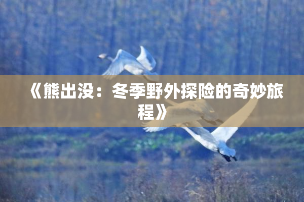 《熊出没：冬季野外探险的奇妙旅程》