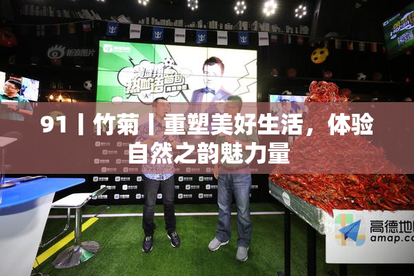 91丨竹菊丨重塑美好生活，体验自然之韵魅力量