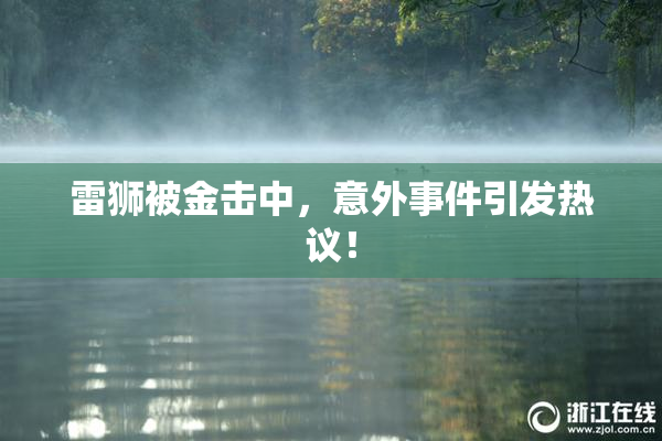 雷狮被金击中，意外事件引发热议！
