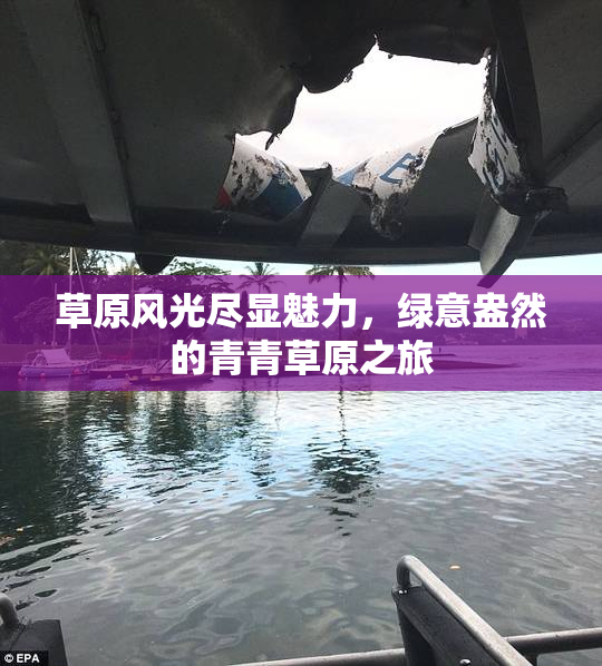 草原风光尽显魅力，绿意盎然的青青草原之旅