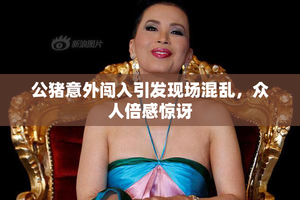 公猪意外闯入引发现场混乱，众人倍感惊讶