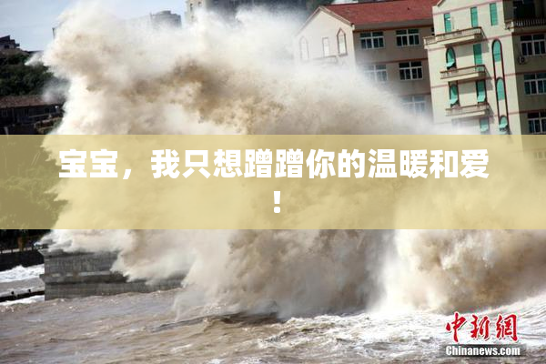 宝宝，我只想蹭蹭你的温暖和爱！