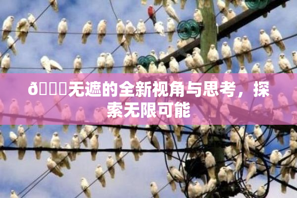 🔞无遮的全新视角与思考，探索无限可能