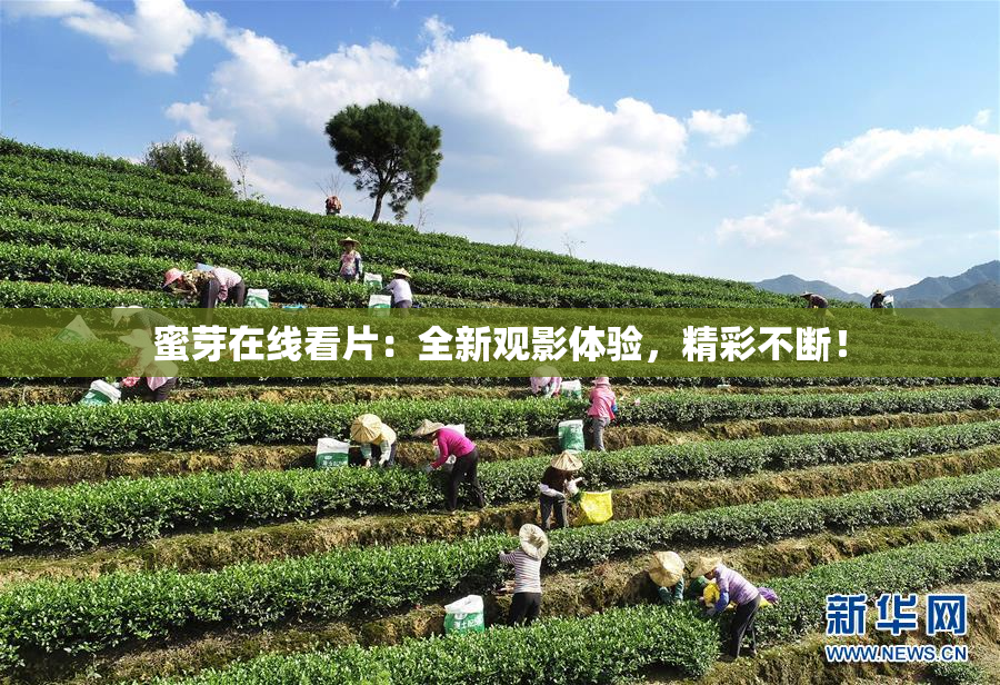 蜜芽在线看片：全新观影体验，精彩不断！