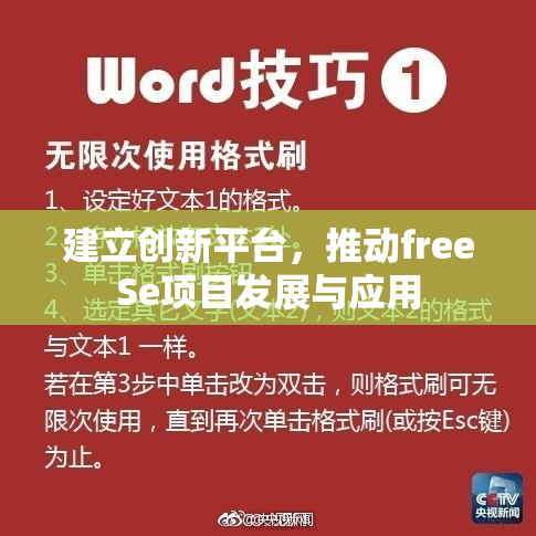 建立创新平台，推动freeSe项目发展与应用