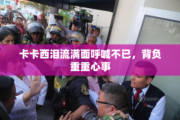 卡卡西泪流满面呼喊不已，背负重重心事