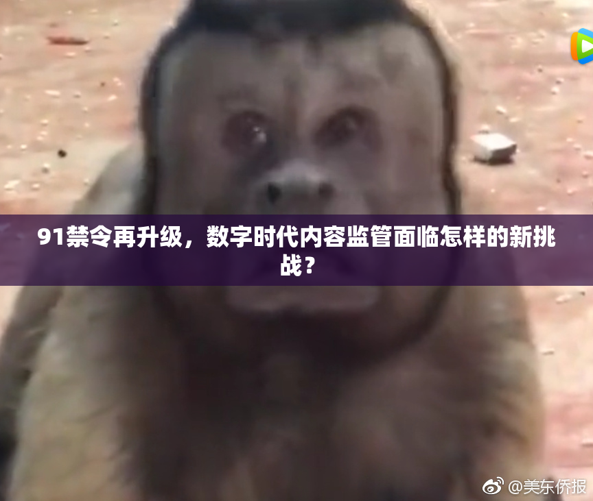 91禁令再升级，数字时代内容监管面临怎样的新挑战？