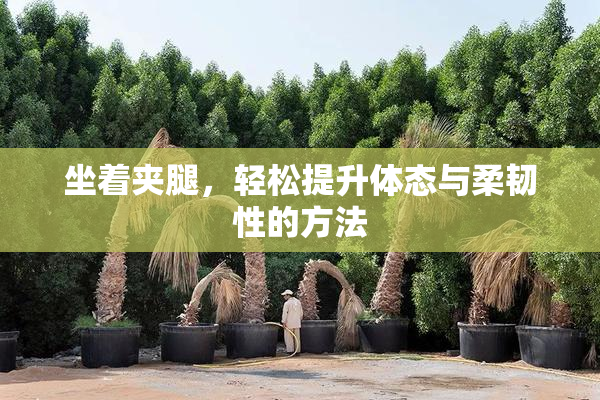 坐着夹腿，轻松提升体态与柔韧性的方法