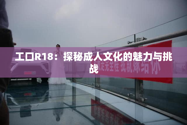 工口R18：探秘成人文化的魅力与挑战