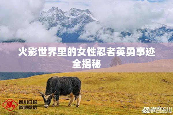 火影世界里的女性忍者英勇事迹全揭秘