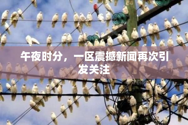午夜时分，一区震撼新闻再次引发关注