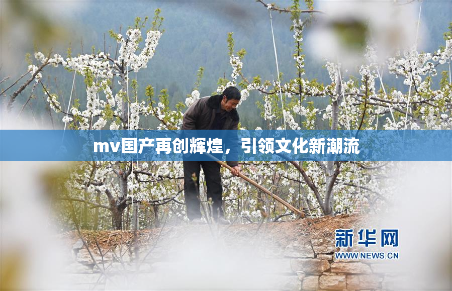 mv国产再创辉煌，引领文化新潮流
