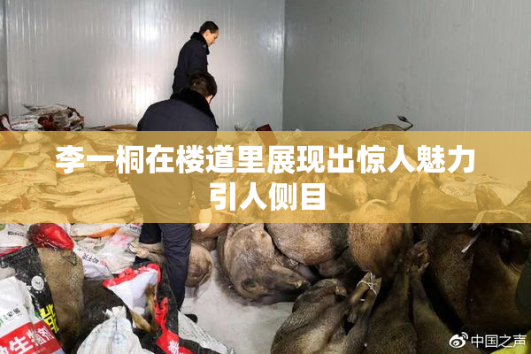 李一桐在楼道里展现出惊人魅力引人侧目