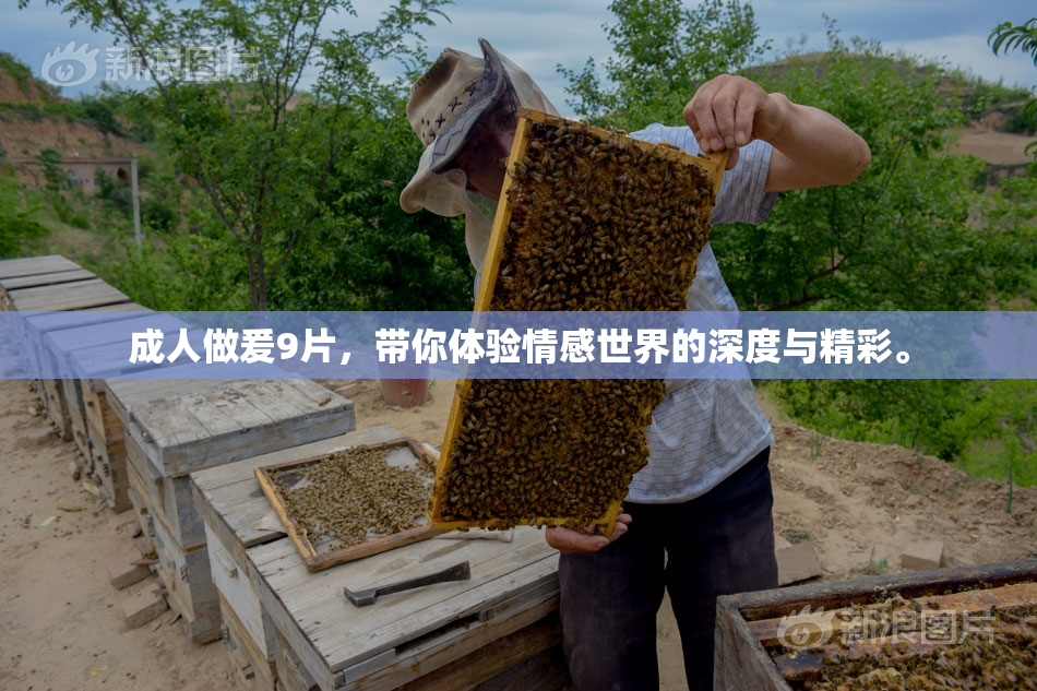 成人做爰9片，带你体验情感世界的深度与精彩。
