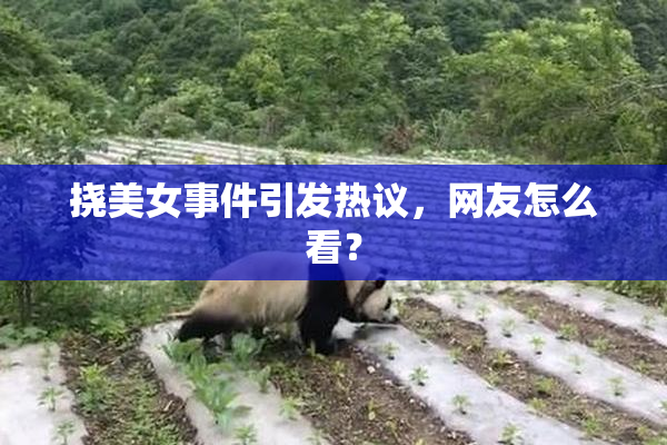 挠美女事件引发热议，网友怎么看？