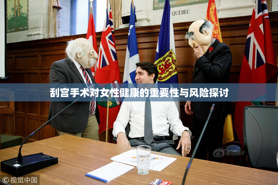 刮宫手术对女性健康的重要性与风险探讨