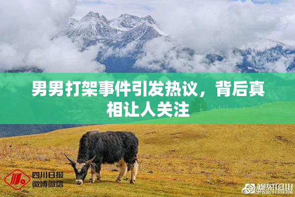 男男打架事件引发热议，背后真相让人关注