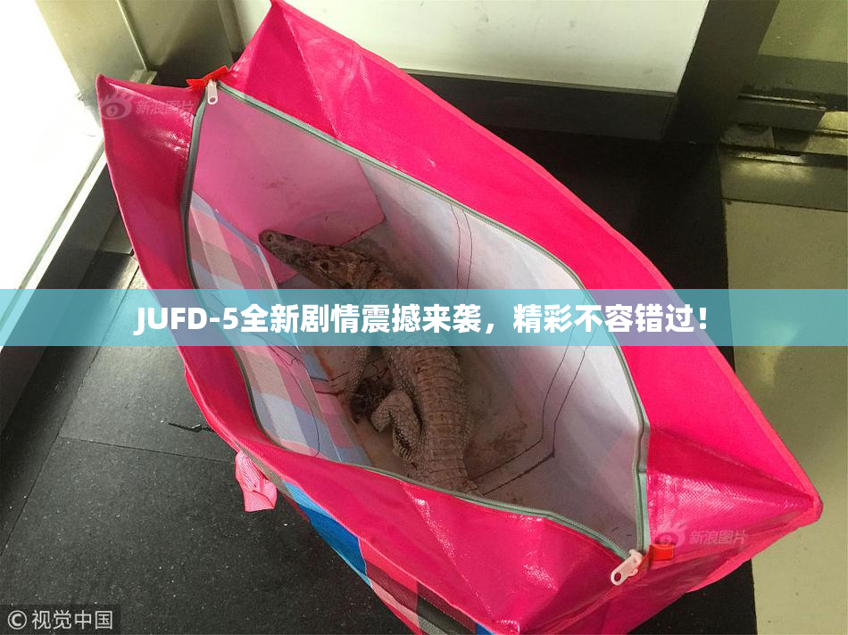 JUFD-5全新剧情震撼来袭，精彩不容错过！
