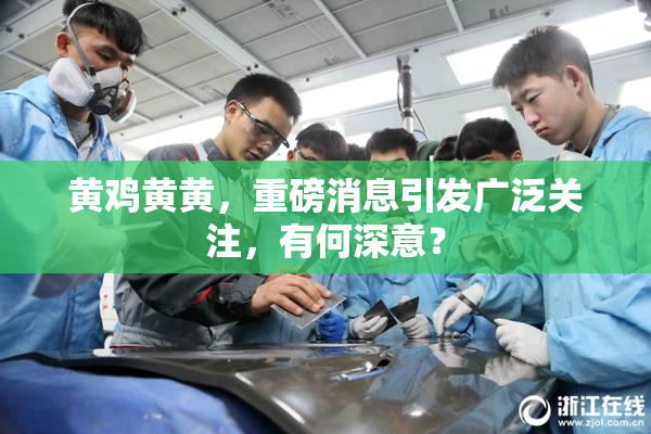黄鸡黄黄，重磅消息引发广泛关注，有何深意？