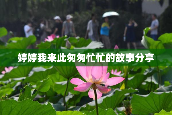 婷婷我来此匆匆忙忙的故事分享