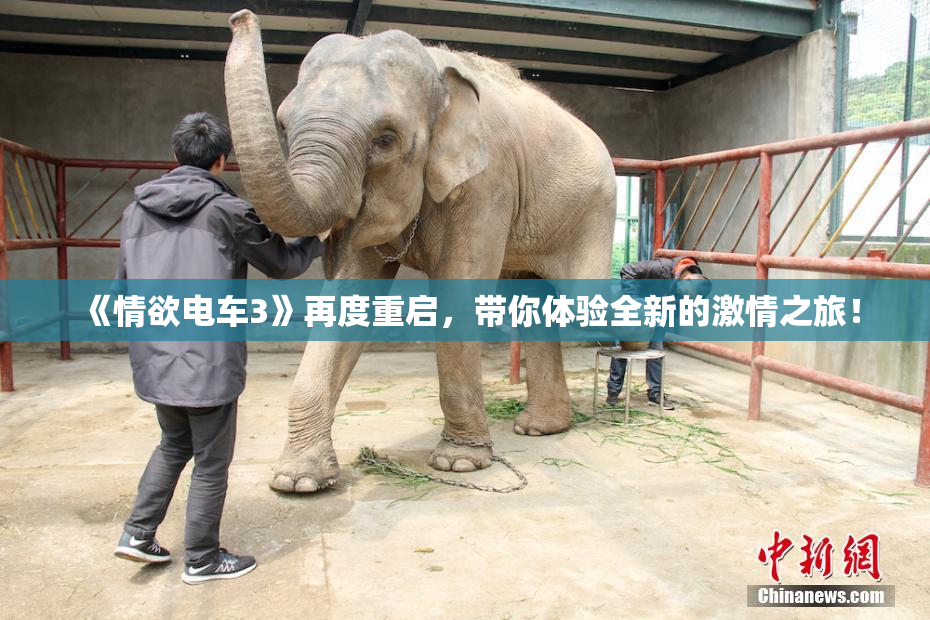 《情欲电车3》再度重启，带你体验全新的激情之旅！