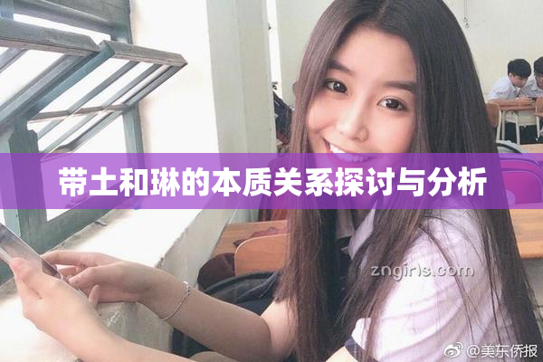 带土和琳的本质关系探讨与分析